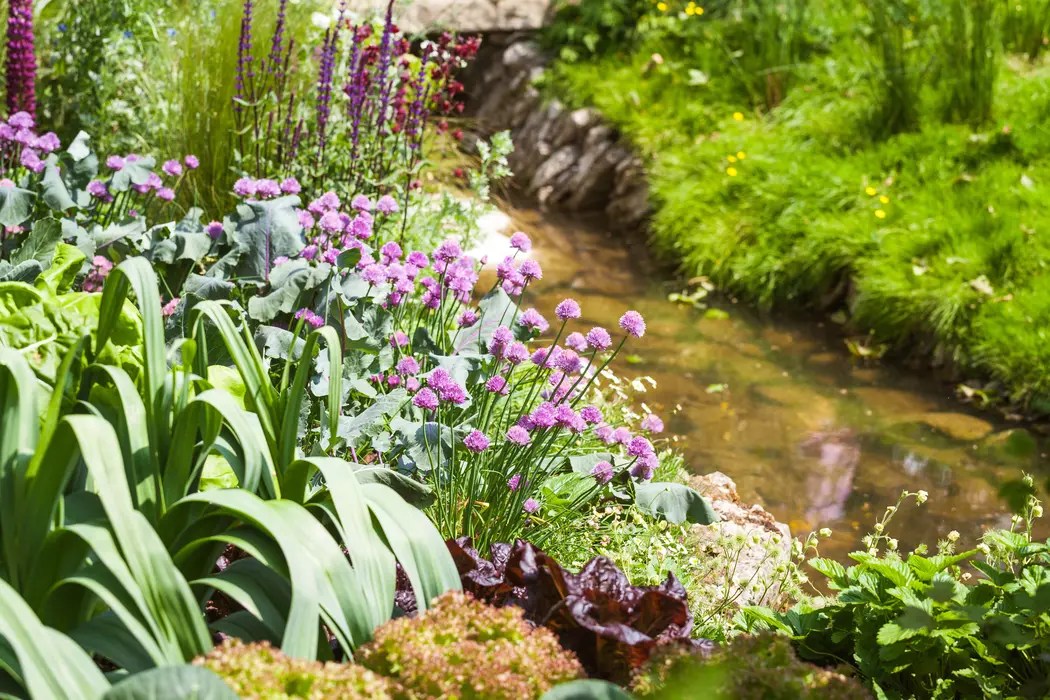 Stream Classification Explanation 2023 Transect - Premium Light Texture Gallery - 8K